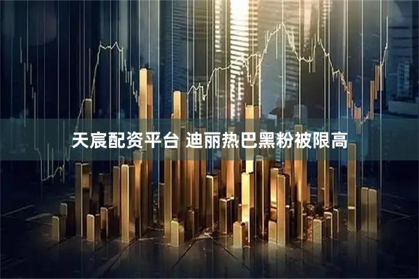 天宸配资平台 迪丽热巴黑粉被限高