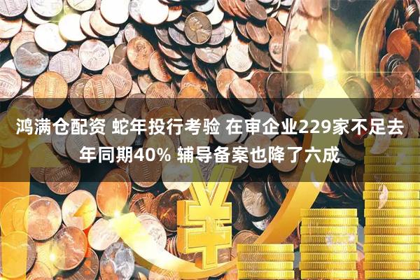 鸿满仓配资 蛇年投行考验 在审企业229家不足去年同期40% 辅导备案也降了六成