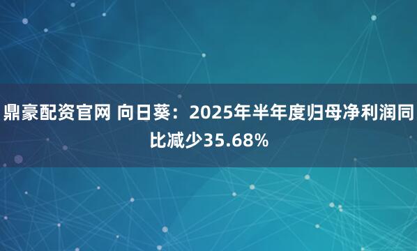 鼎豪配资官网 向日葵：2025年半年度归母净利润同比减少35.68%